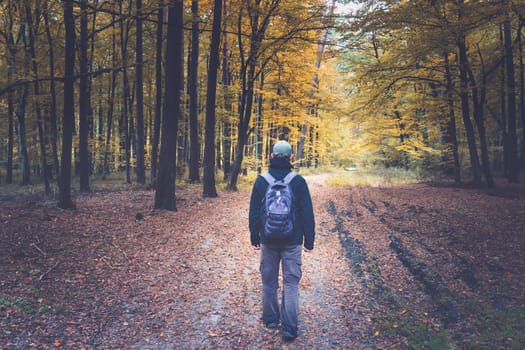 A man with a backpack going through the autumn forest