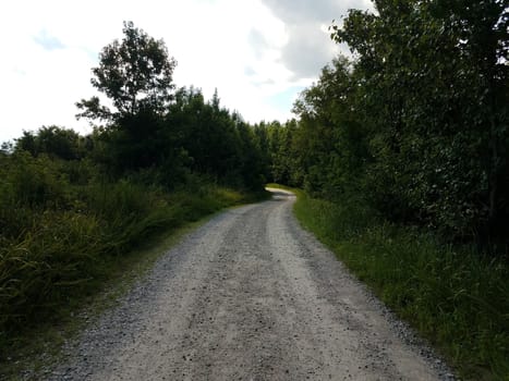 trail or path with rocks or pebbles and green grass and trees