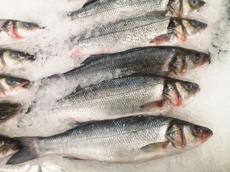 Fresh chilled fish with scales lying on ice in a shop window, store counter or supermarket.