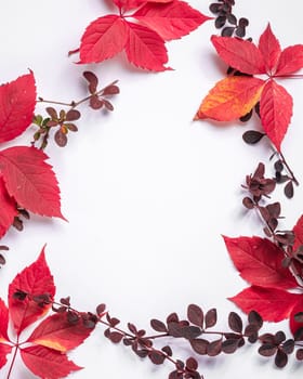 Frame of red and orange autumn leaves on white background, flat lay copy space