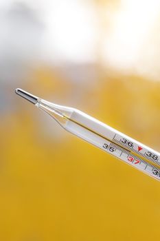 Mercury thermometer on an autumn background. The normal temperature of a healthy person is 36.6.