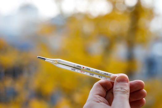 Hand with mercury thermometer on an autumn background. The normal temperature of a healthy person is 36.6.