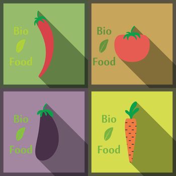 Flat design modern vector illustration of Healthy and biological Food, style with long shadows.