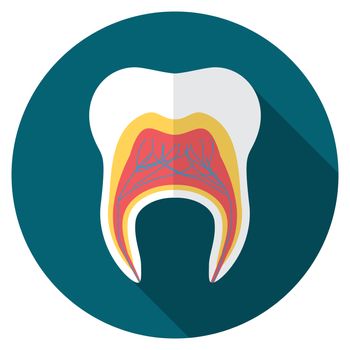 Flat design modern vector illustration of tooth icon with long shadow, isolated