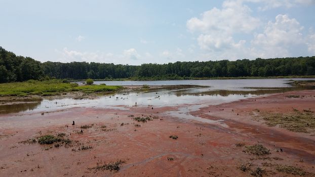 mud and red algae bloom in water in wetland or lake