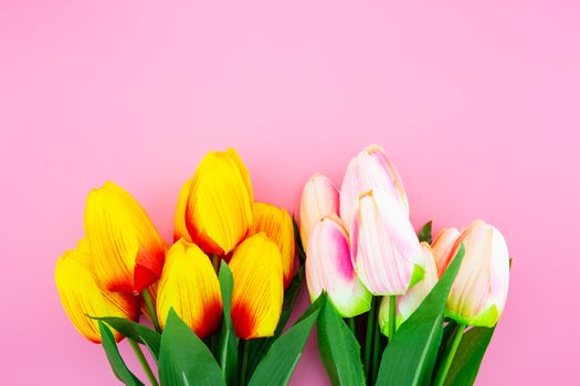 Beautiful of yellow tulip flower with flat lay on the pink background, top view, mother day and holiday concept, copy space.