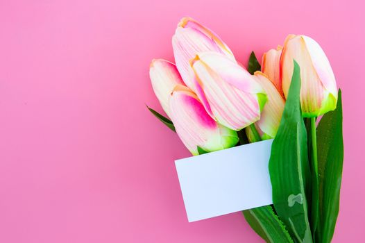 Beautiful of yellow tulip flower and card, note and tag with flat lay on the pink background, top view, copy space, mother day and holiday concept.
