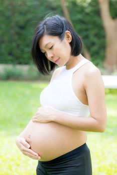 Beautiful pregnant of portrait asian young woman relax in the park, girl with belly standing on grass and yoga exercise for wellness, copy space.