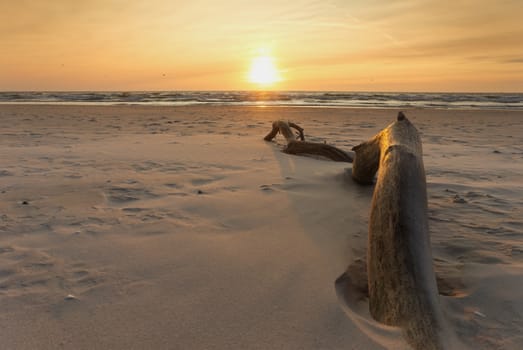 Old tree branch half buried in beach sand in a low angle view at sunset with the fiery orb of the sun low on the horizon in an orange sky