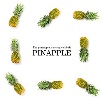 Creative Pineapple layout with sample text. Tropical fruits concept. Pineapple on white background.