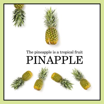 Creative Pineapple layout with sample text. Tropical fruits concept. Pineapple on white background.