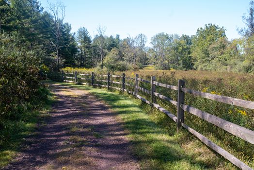 Idyllic rural scene on a dirt road with wooden fence, green grass and woodland countryside