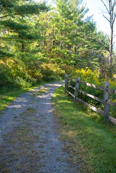 Serene hiking trail by a wooden fence and woodland in dappled sunlight with copy space.