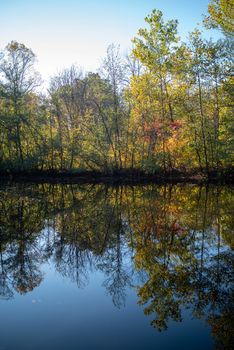Autumn reflection of a colorful forest in a  quiet, tranquil blue lake. Full frame in natural light with copy space.