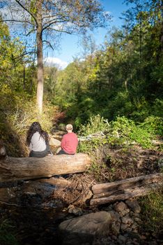 Two individuals sit contemplating along a beautiful hiking trail by a stream in a forest. Green trees and blue sky with copy space.