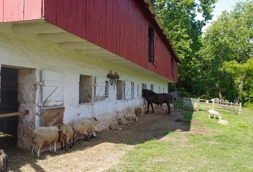 Colonial barn at the Hopewell Furnace National Historic Site in Pennsylvania. Massive, elegant whitewashed stone with wood above Dutch doors and ventilation windows. Notice the yoke on the wall. Full frame in natural light with copy space.