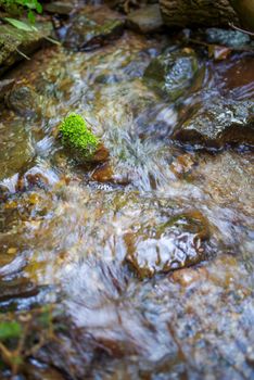 Long exposure image of a woodland stream flowing around a solitary moss-covered rock.