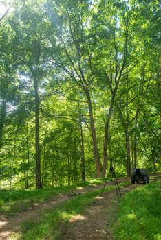 Photography equipment set up on idyllic dirt road with off road vehicle in the background. Tall trees, lush foliage and filtering natural sunlight in full frame image with copy space.