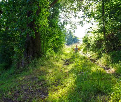 Woman meditates alone along forest path in dappled sunlight. Green serene nature background with copy space.