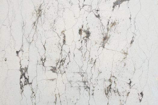 White marble texture for background.