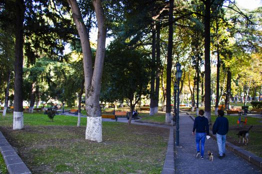 Tbilisi, Georgia - October 27, 2020: Park view in the city center