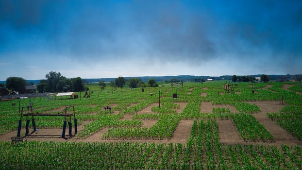 Steam Passenger Train Traveling Thru Countryside from Train Passenger View of a Newly Planted Corn Maze