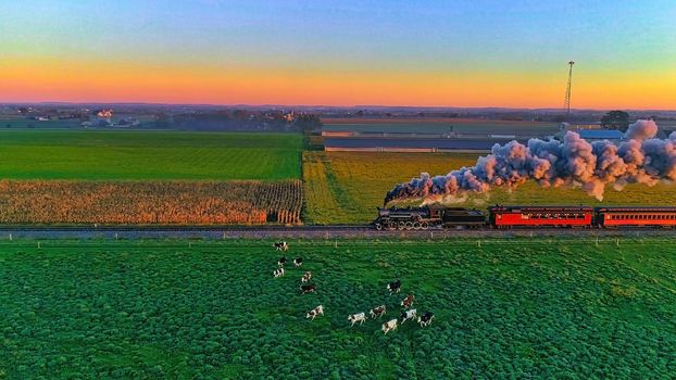 Aerial View of Steam Passenger Train at Sunrise Traveling Thru Amish Countryside with Cows Running away