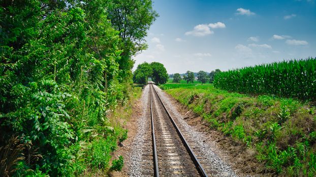 Old Rail Road Track going Thru Countryside on a Sunny Day