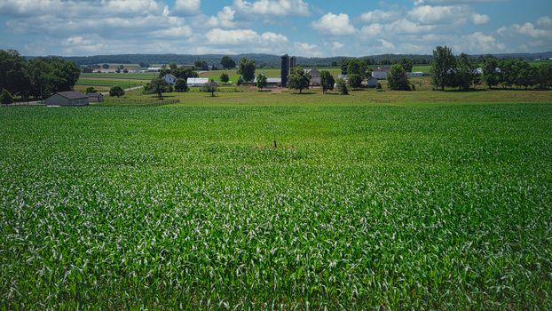 Steam Passenger Train Traveling Thru Countryside from Train Passenger View