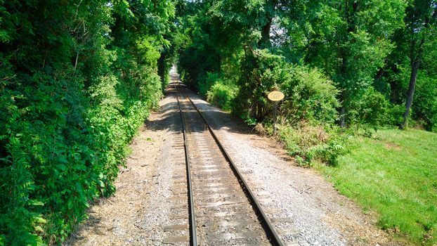 Old Rail Road Track going Thru Woods on a Sunny Day