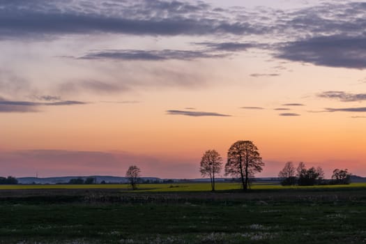 The sky and the clouds after sunset, trees in the fields, evening spring view
