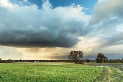 Rain cloud over green meadow, spring view
