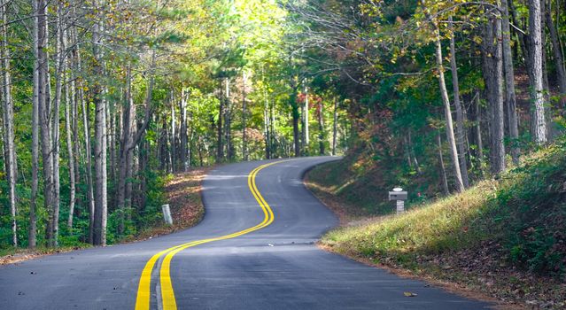 A country road with New Pavement Through Forest