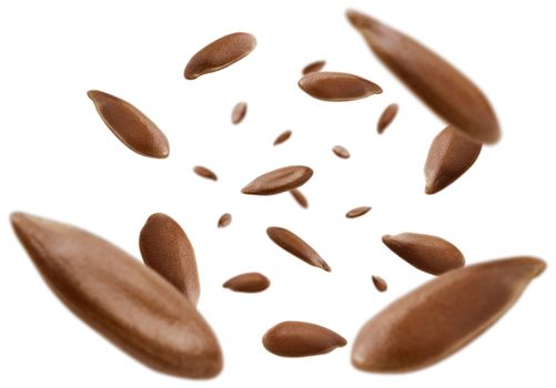 Flax seeds are levitated on a white background.