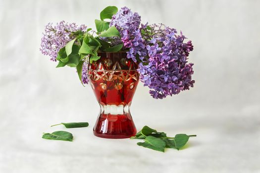 Lilac flowers in a red vase and fallen green leaves on a gray background