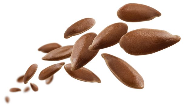 Flax seeds are levitated on a white background.