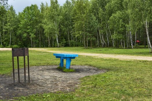 In the forest on the meadow there is a brazier and a wooden table for outdoor recreation