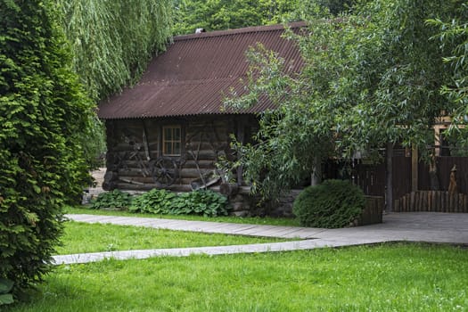 Among the trees is a wooden log house