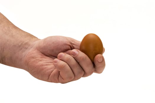 On a white background a man's hand holds a chicken egg