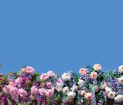 Decoration from many spring flowers at the bottom isolated on blue sky as background on sunny day