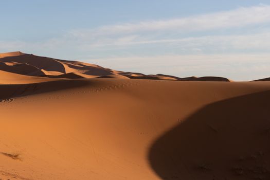 Sand dunes in the Saharan desert in Morocco in late afternoon golden sun at sunset with long shadows and texture. High quality photo