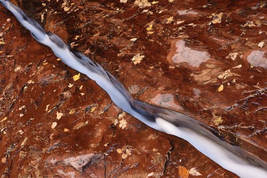 Water has cut a narrow channel in the red bedrock of the Left Fork North Creek, Zion National Park.