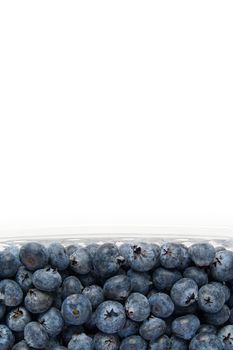 blueberries in clear plastic tray shot from above on white background. copy space