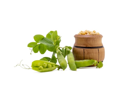 Dried peas in a wooden barrel and fresh plant with pods isolated on a white background