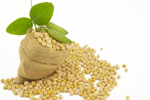 Small hessian bag filled with dried chickpeas spilling onto a white background with green leaves and copy space