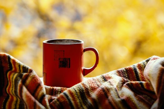 A cup of warm tea. Autumn comfort