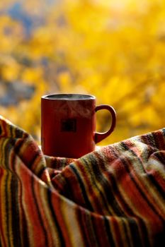 A cup of warm tea. Autumn comfort