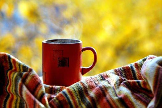 Red coffee cup over autumn background