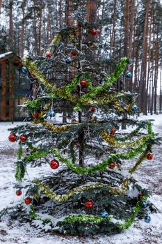 Natural Christmas tree in winter. Decorations for Christmas.