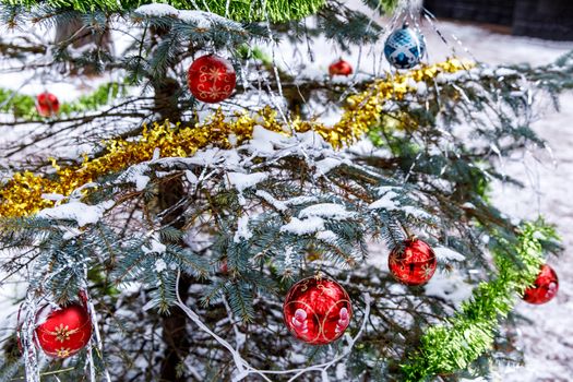 Natural Christmas tree in winter. Decorations for Christmas.